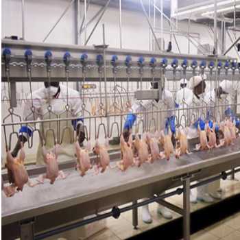 Poultry Processing Equipment Suppliers