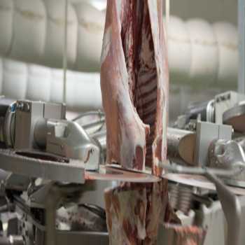 Sheep Slaughtering Equipment Suppliers